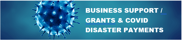 Business Support Grants & COVID Disaster Payments
